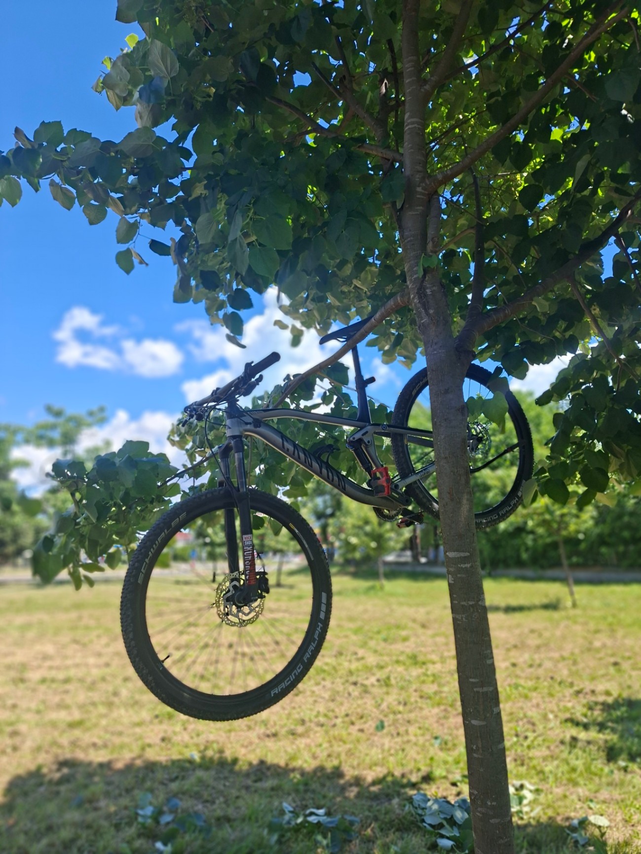 Bike view 3