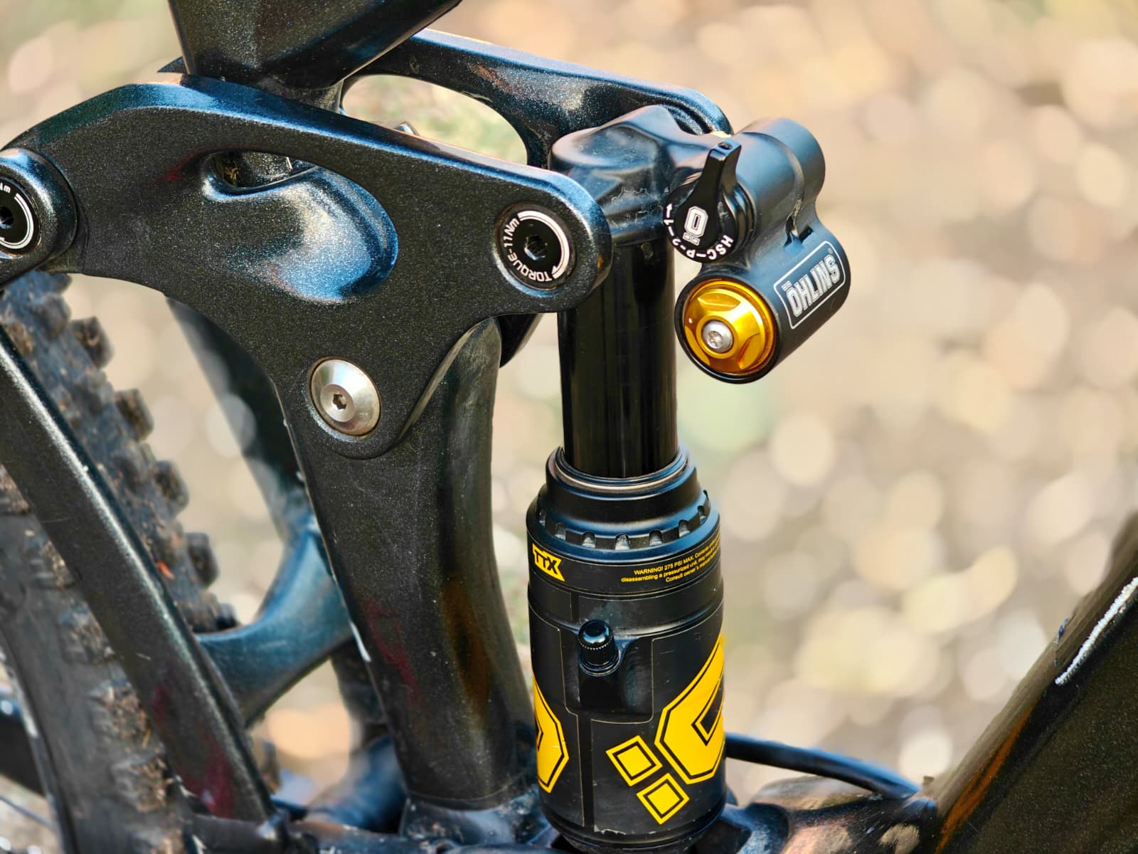 Bike view 8