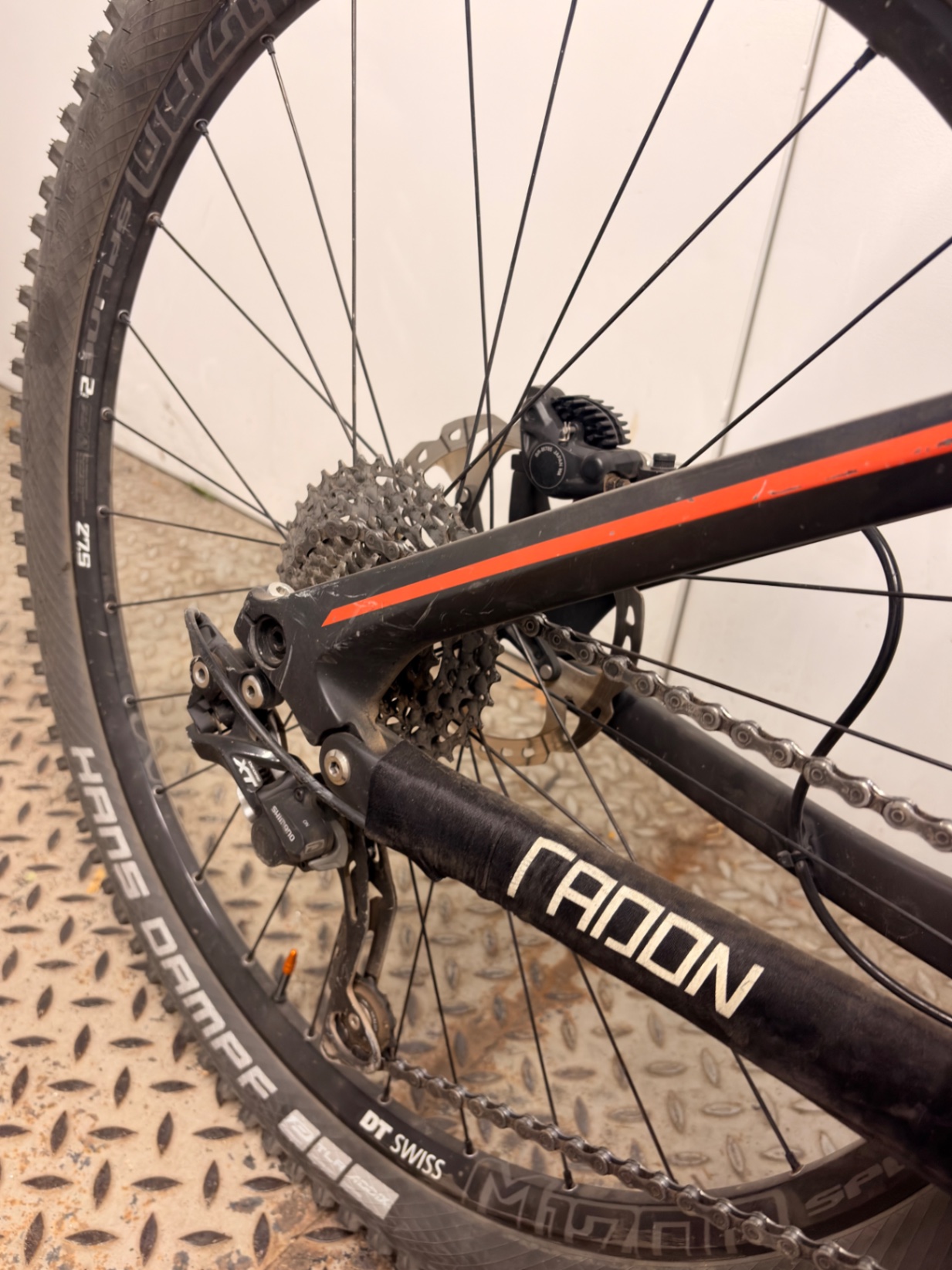 Bike view 7