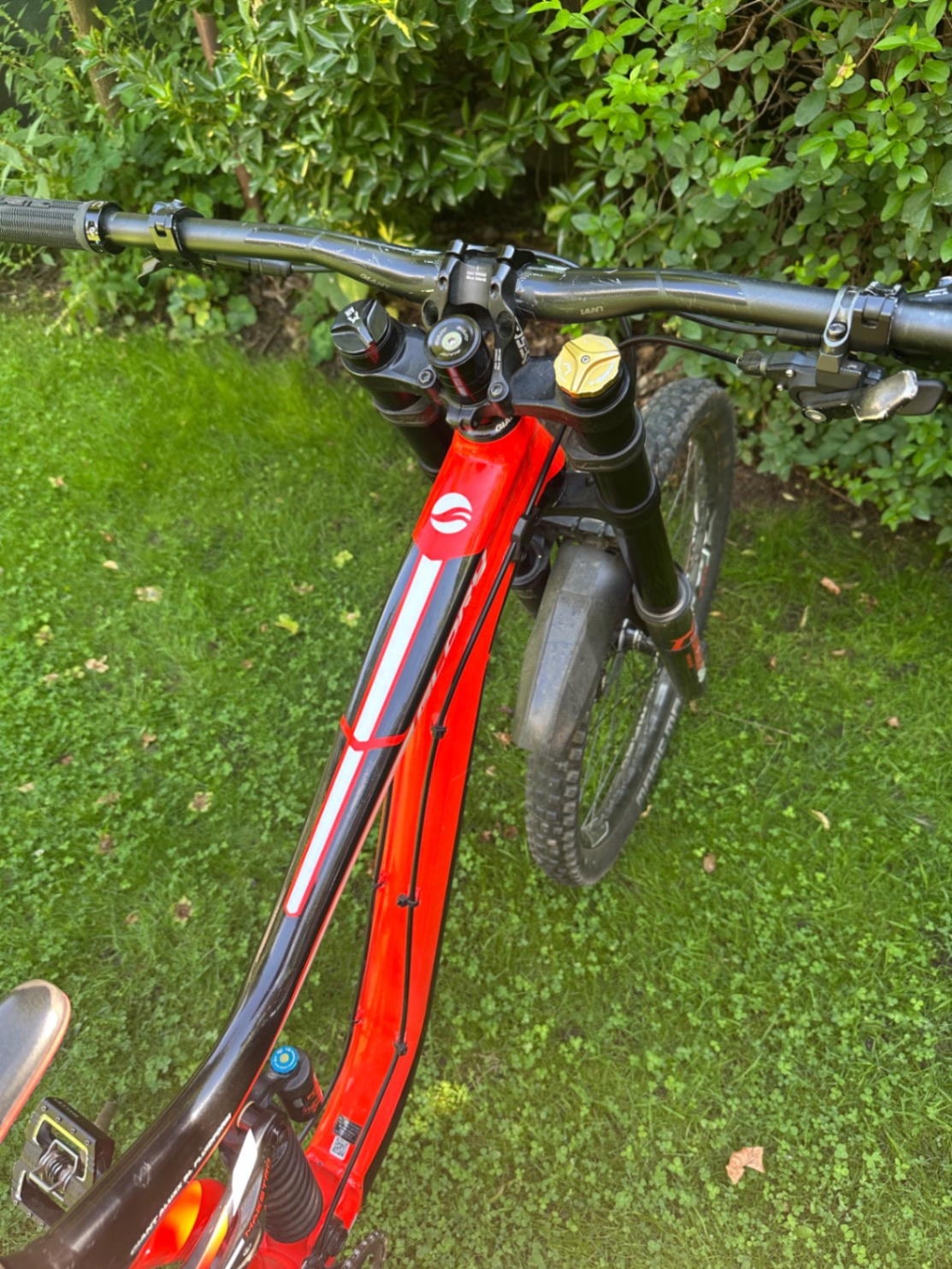 Bike view 6