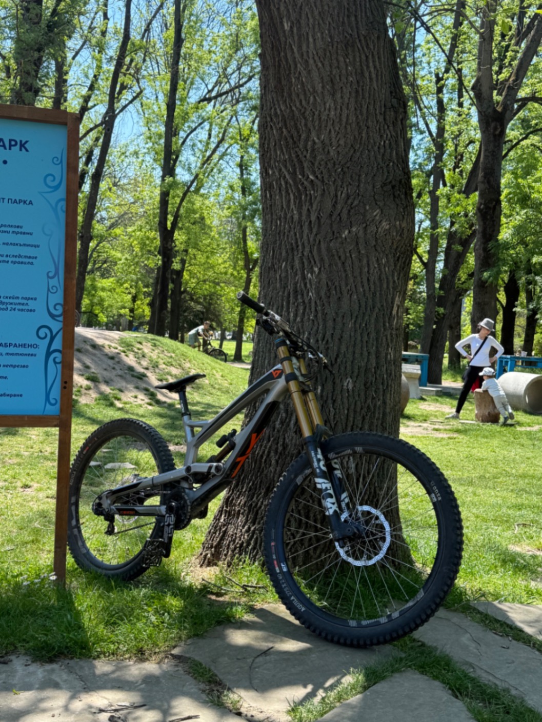 Bike view 6