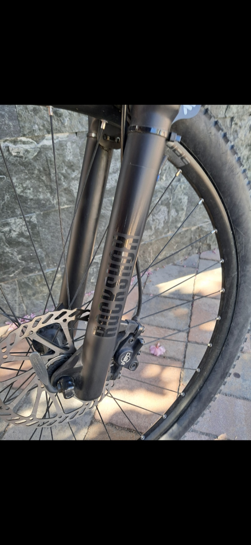 Bike view 10