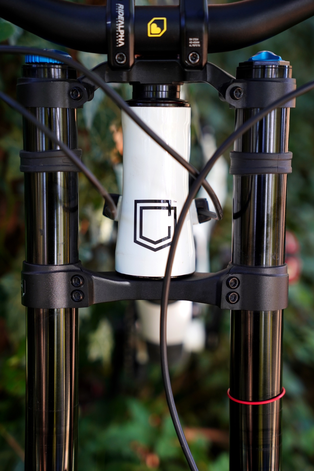 Bike view 6