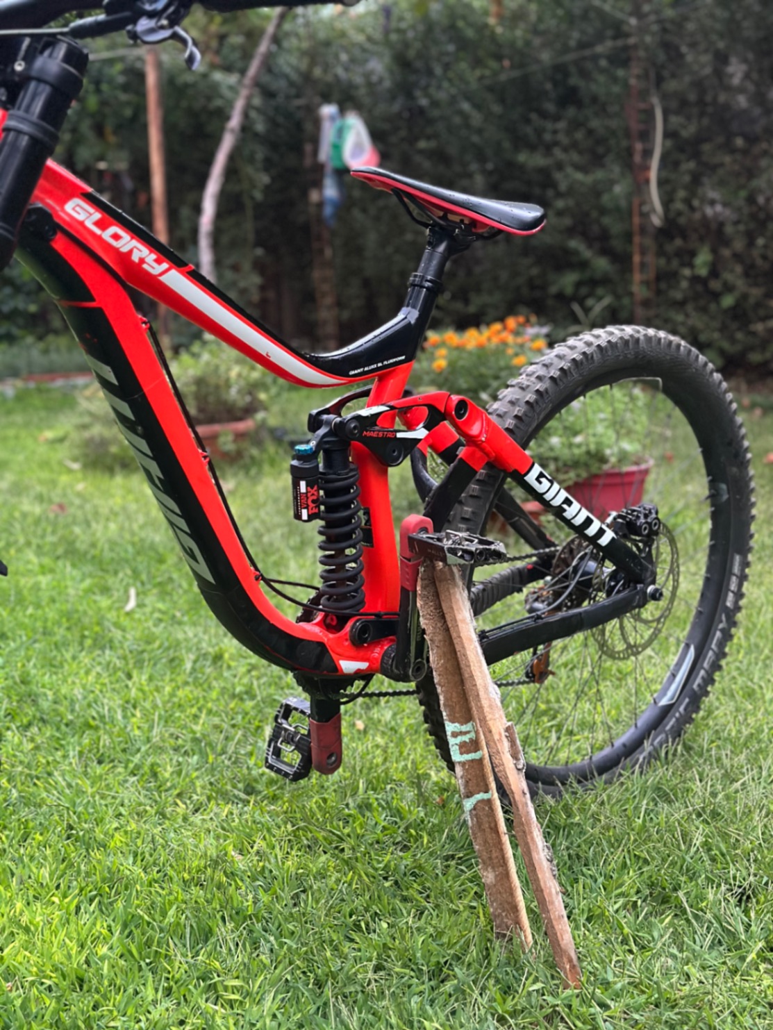 Bike view 11