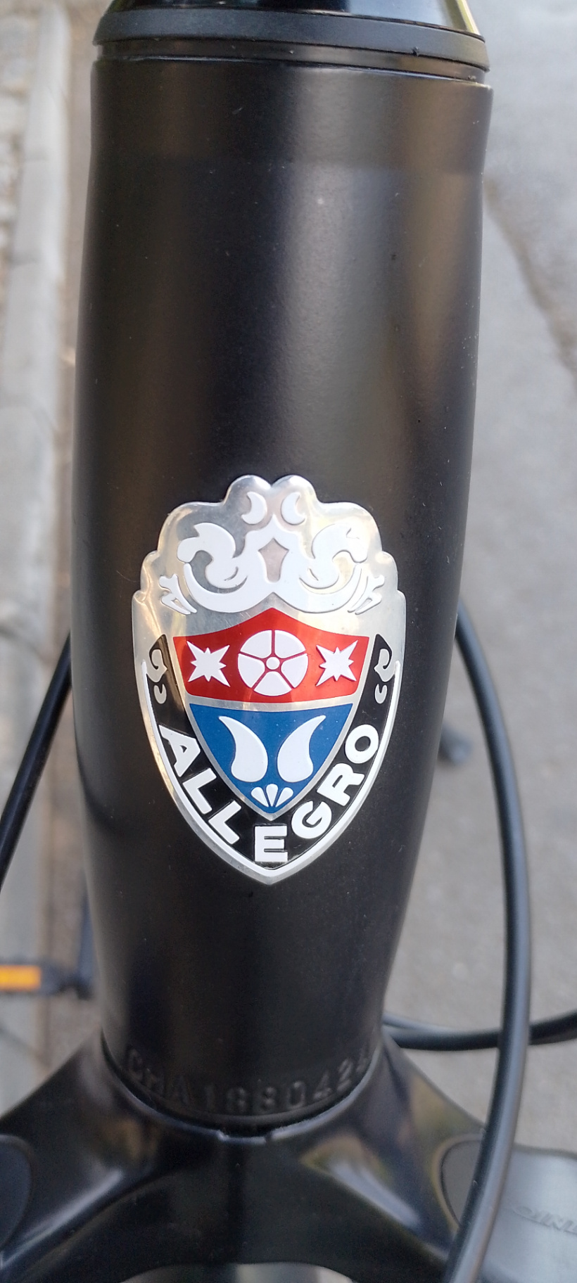 Bike view 6