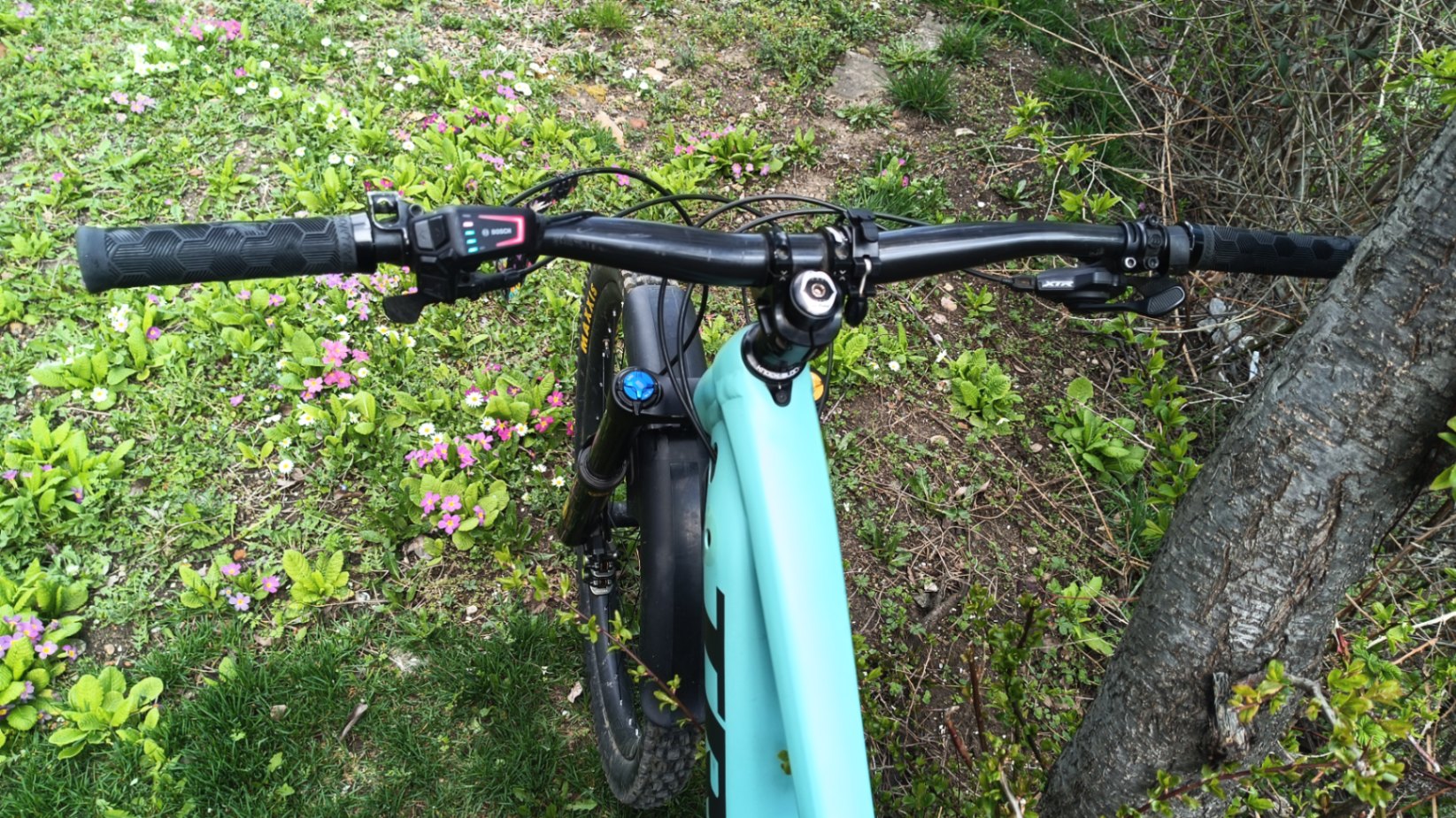 Bike view 2