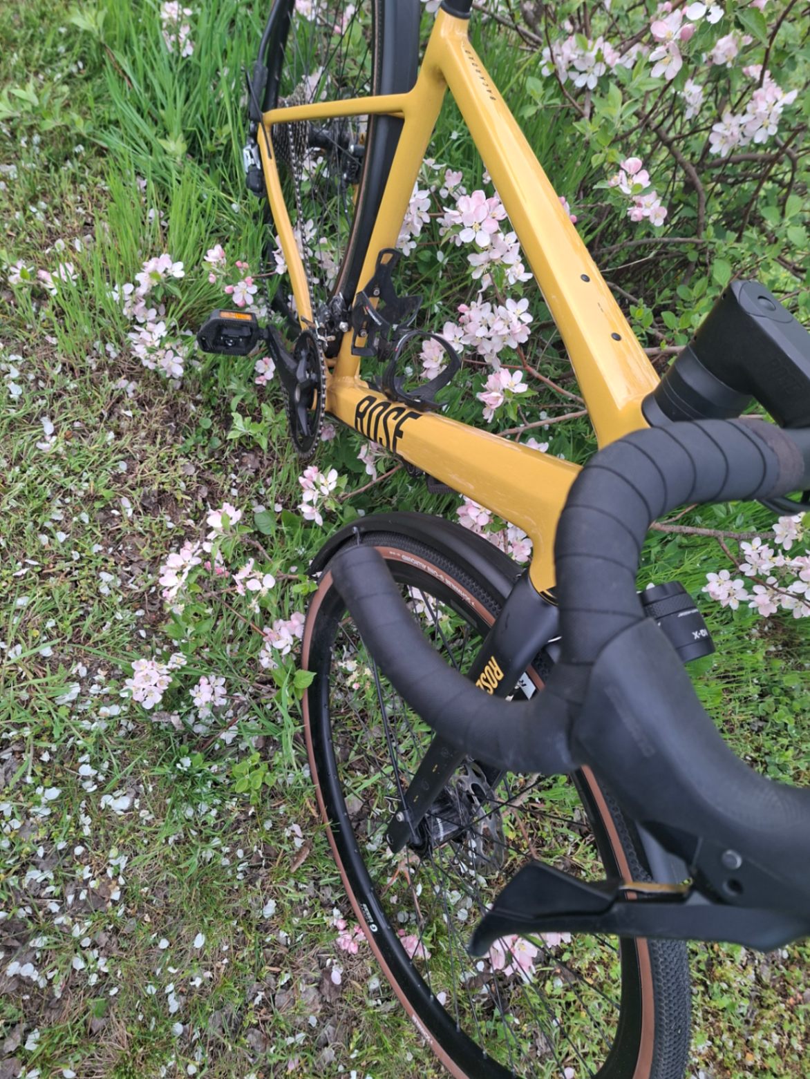 Bike view 10