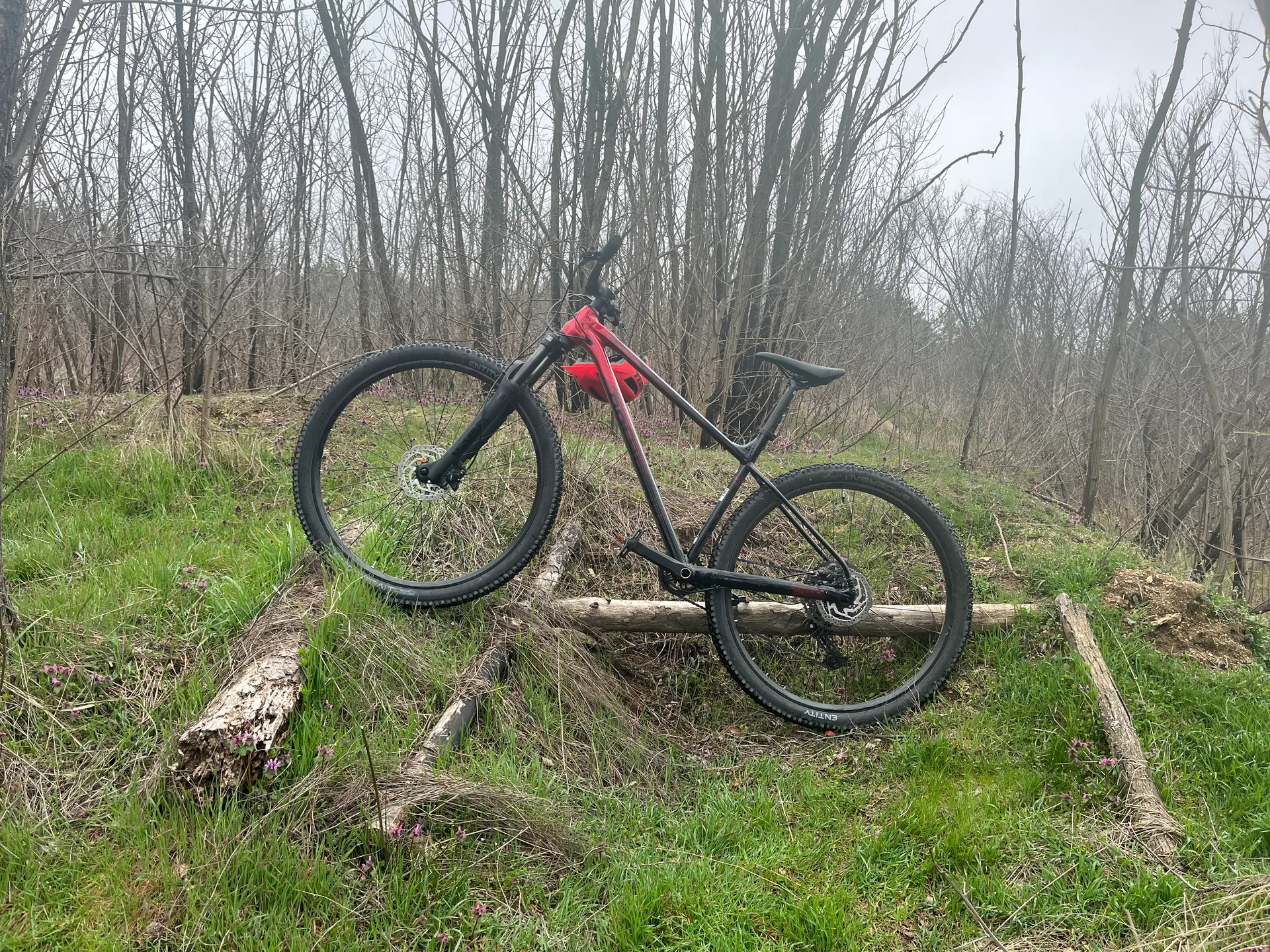 Polygon Xtrada 6 view 4