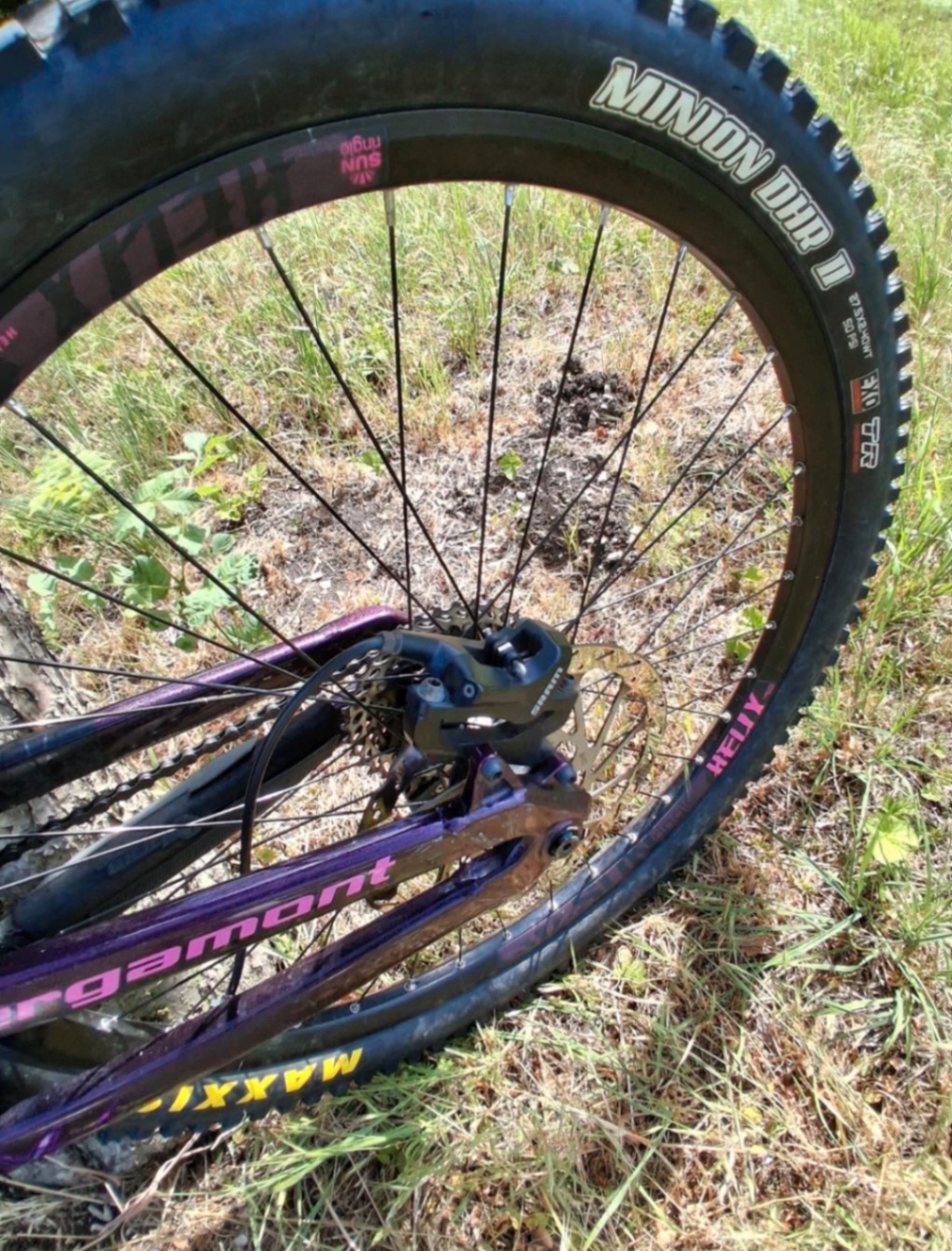 Bike view 6