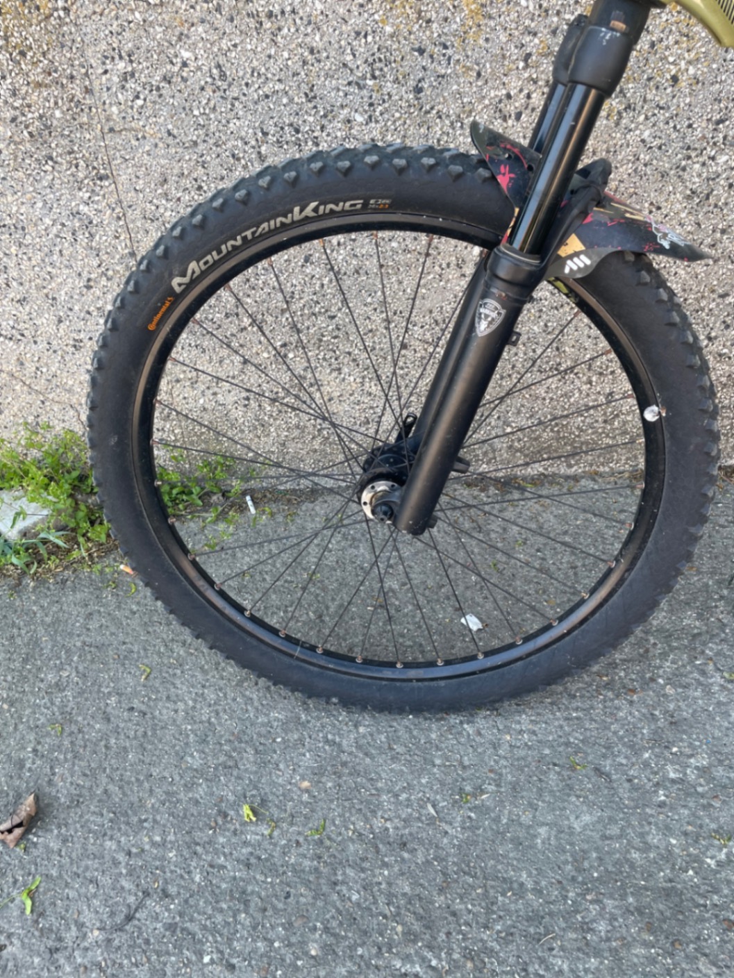 Bike view 6