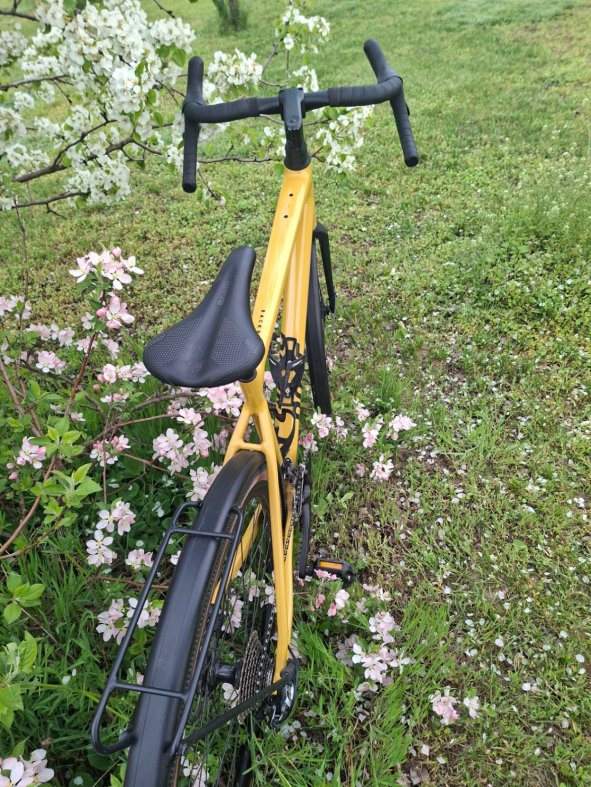 Bike view 3