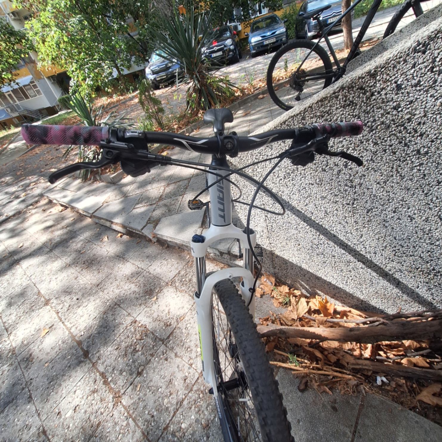 Bike view 6
