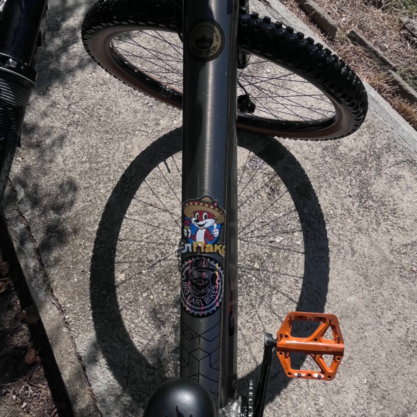 Bike view 6