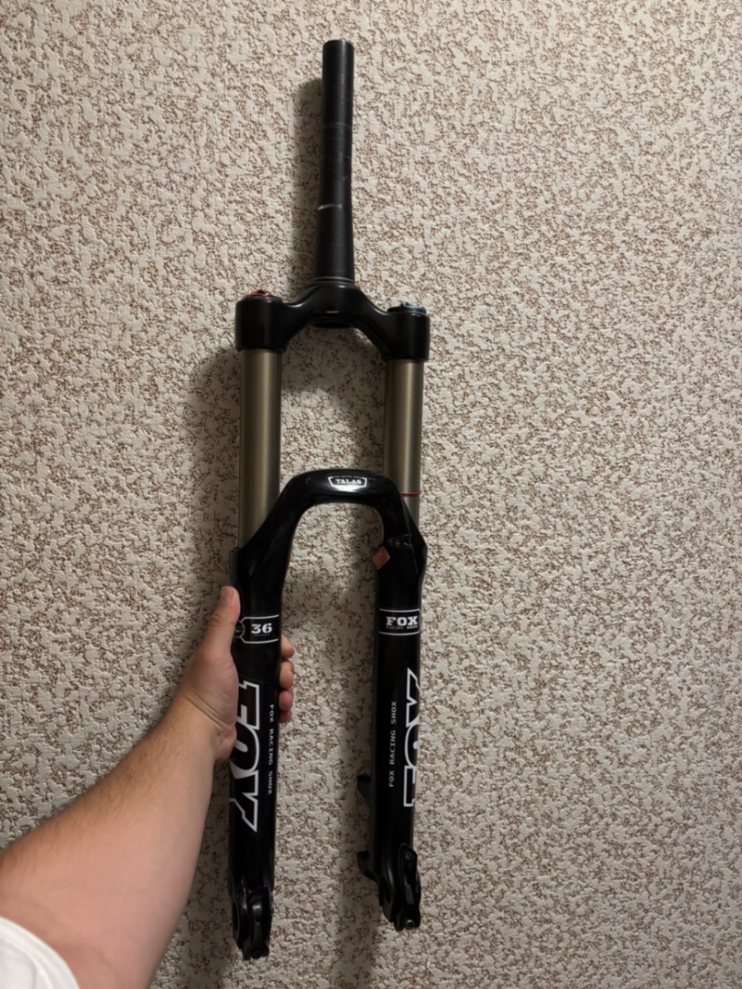 Fox Talas 36