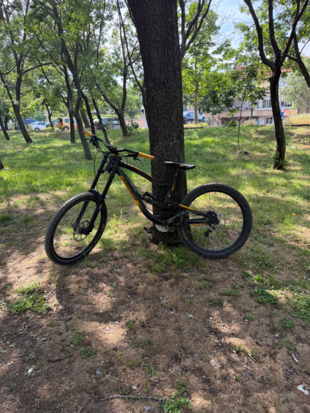Bike view 7
