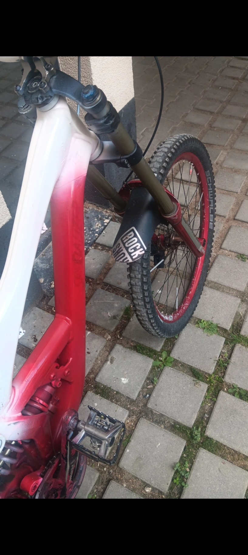 Specialized Dh