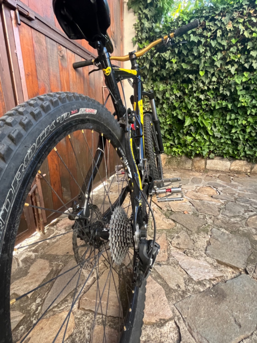 Bike view 5