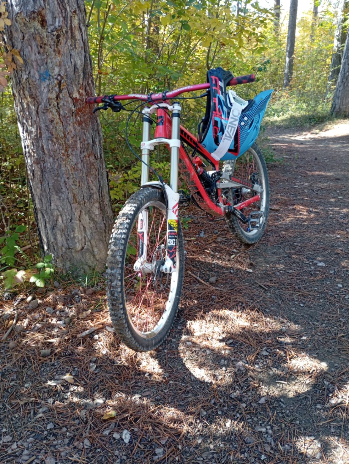 Bike view 2