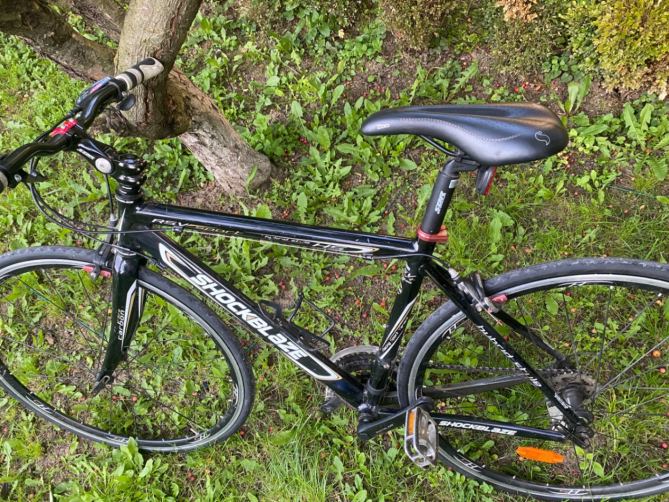 Bike view 9