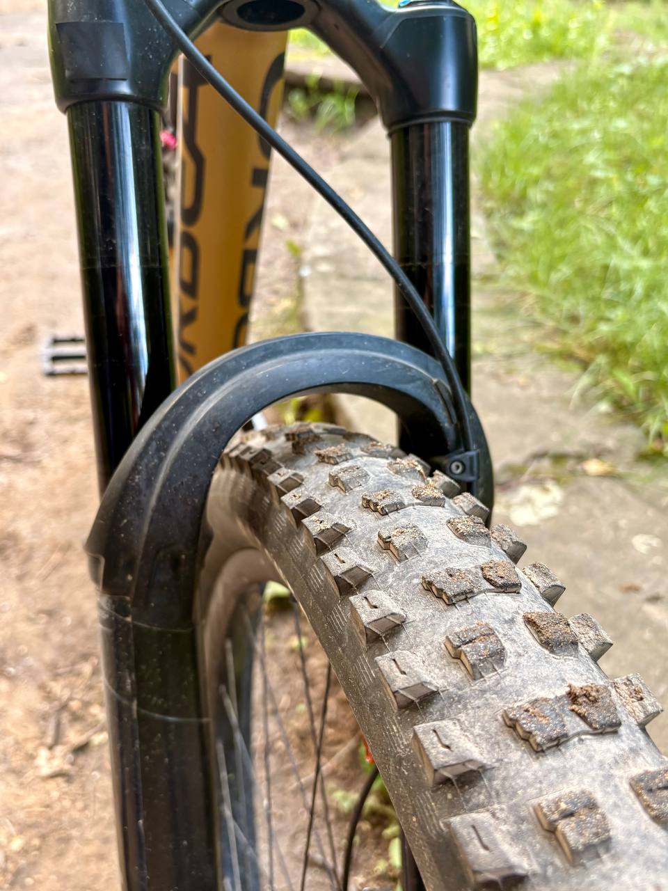 Bike view 9