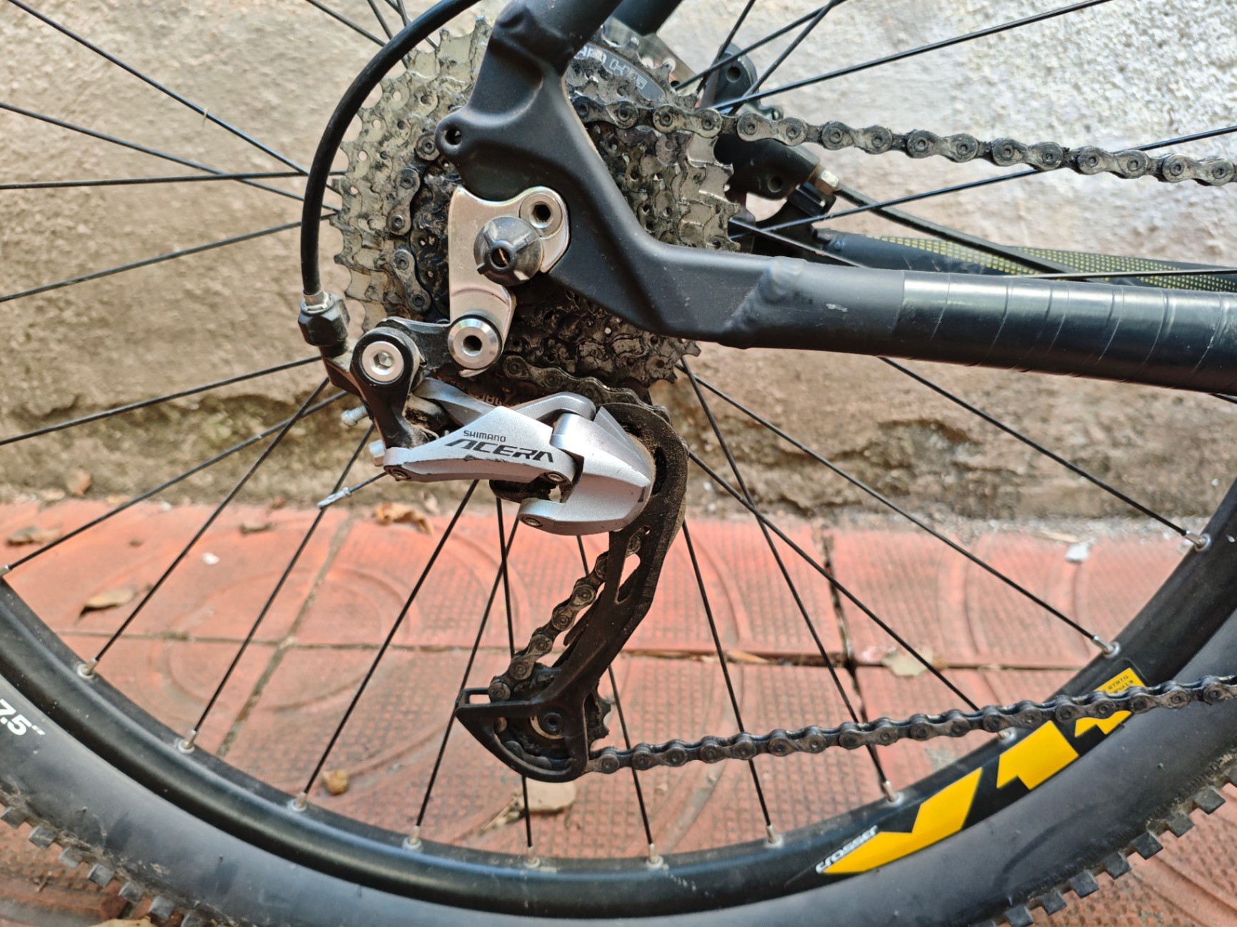 Bike view 7