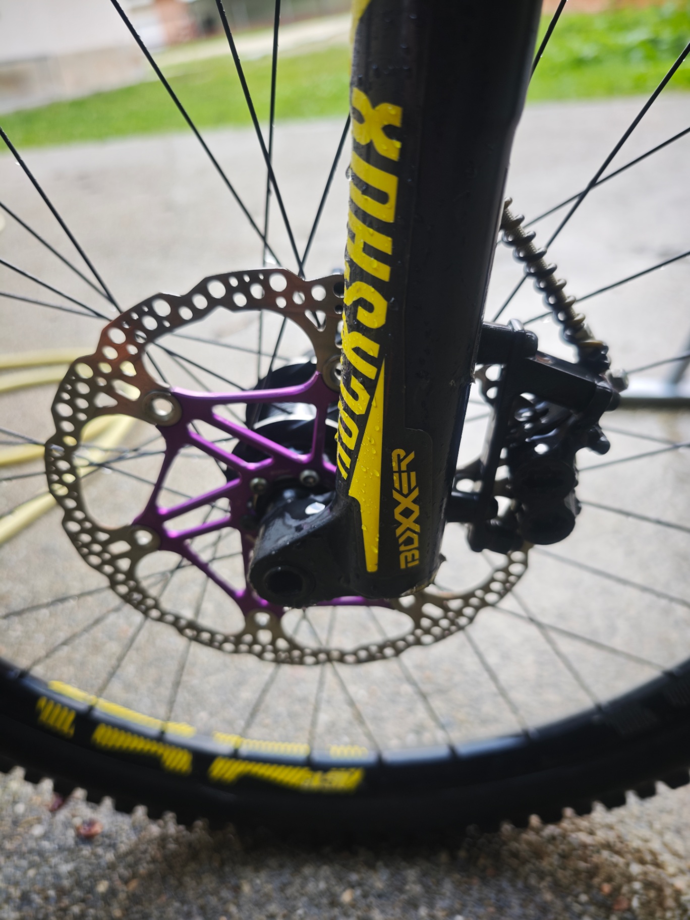 Bike view 11