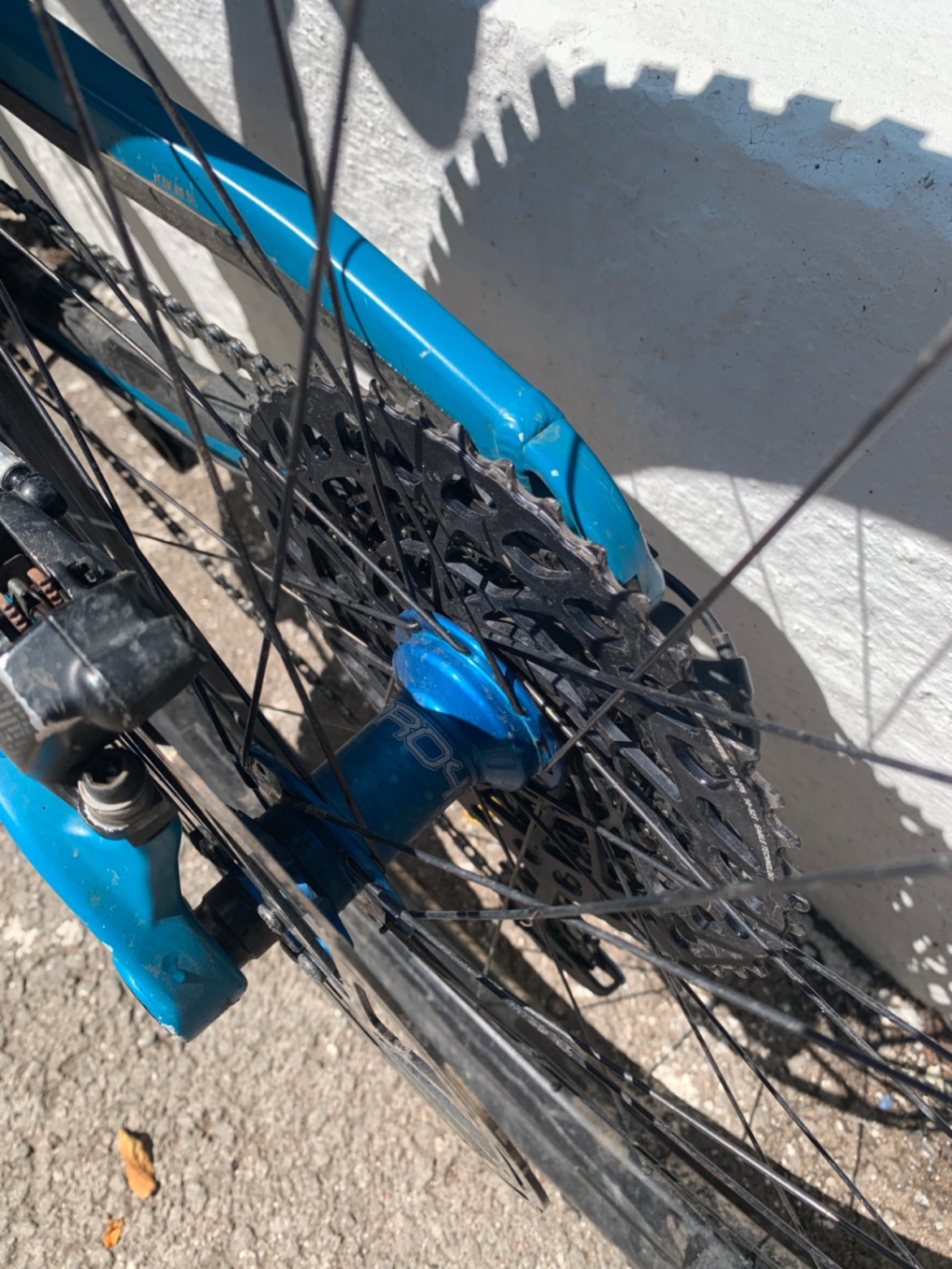Bike view 5