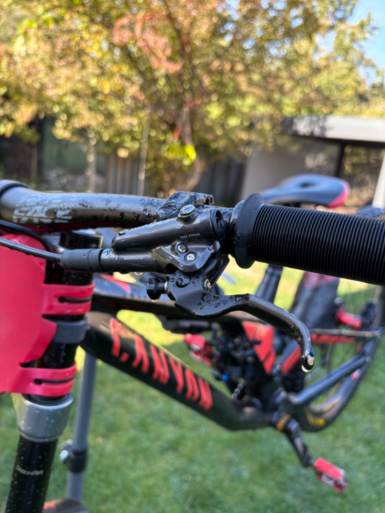 Bike view 6