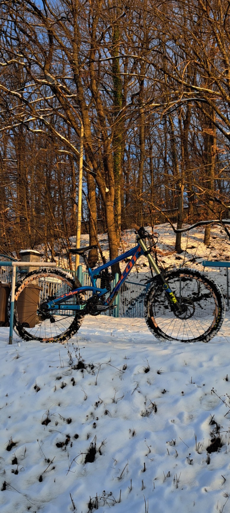 Bike view 5