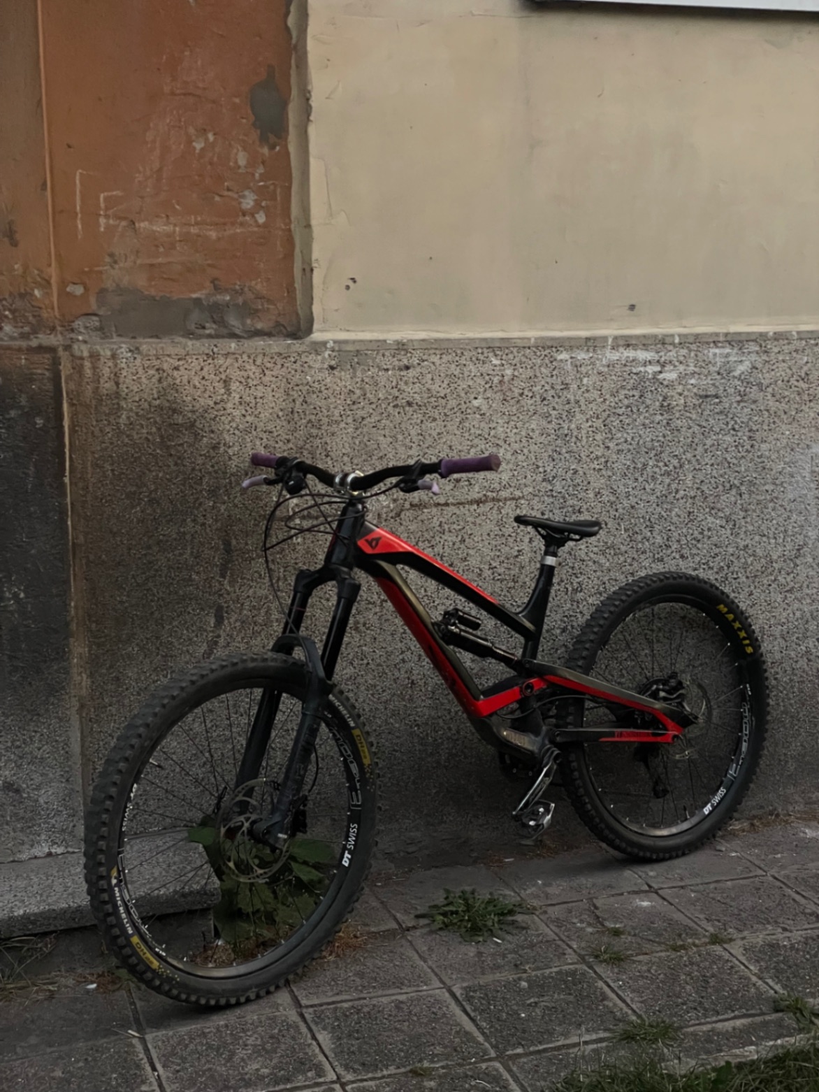 Bike view 6