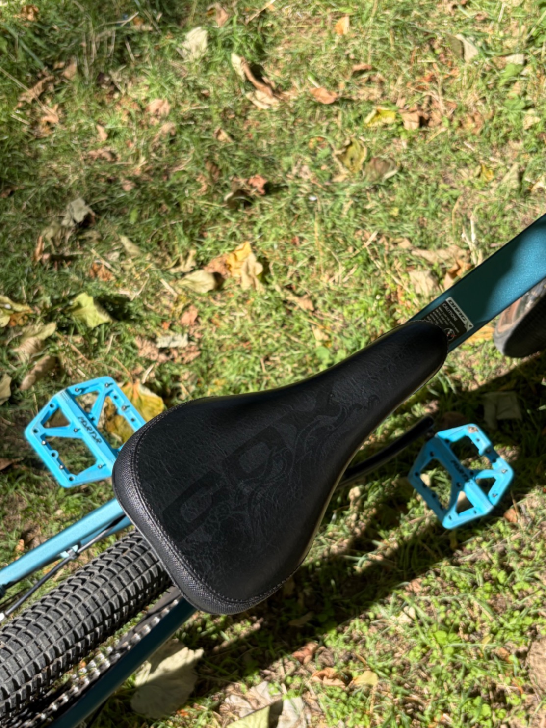 Bike view 6