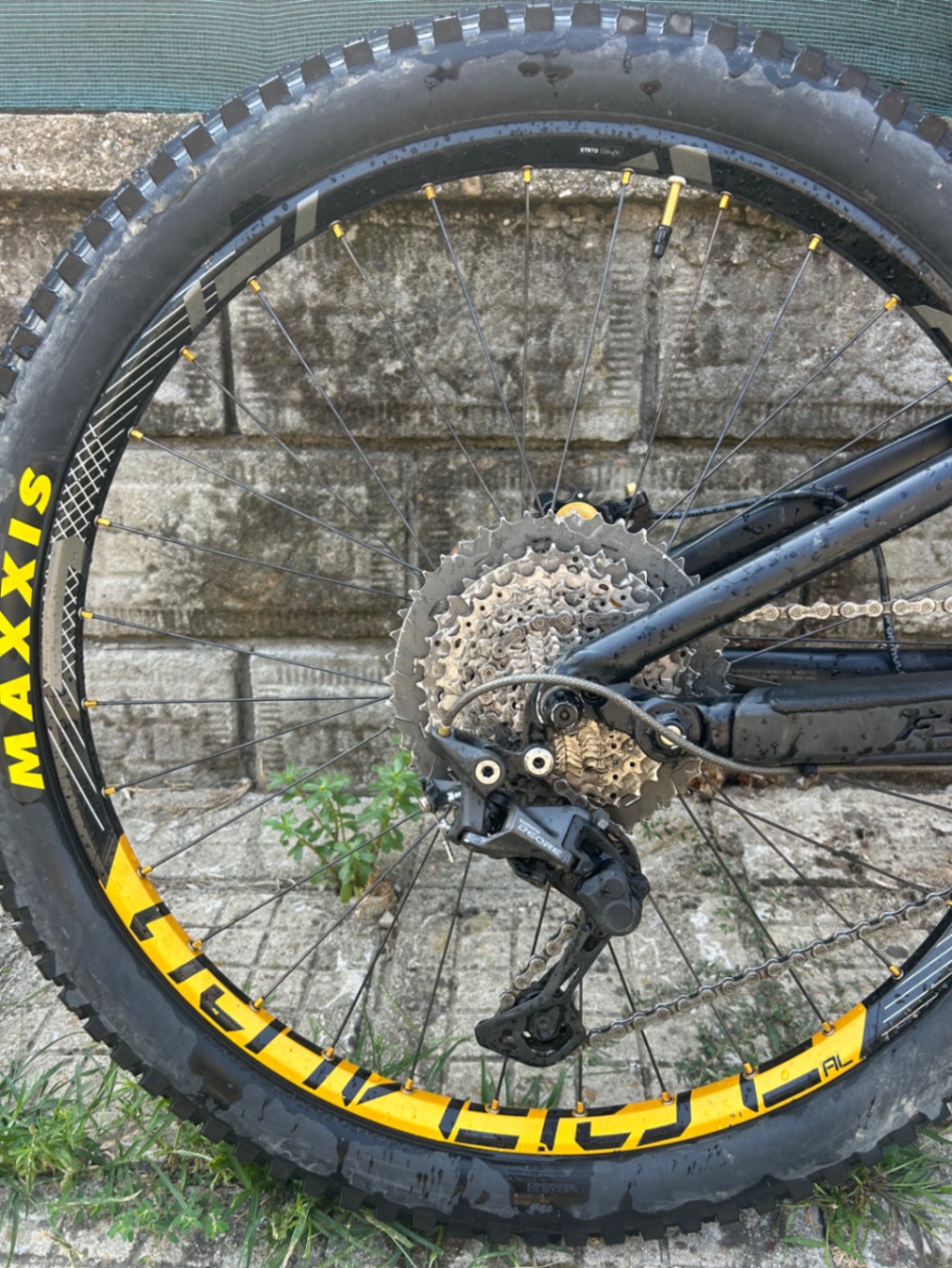 Bike view 8