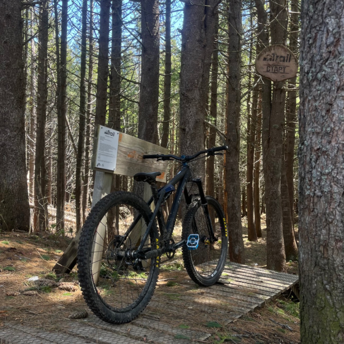 Bike view 5