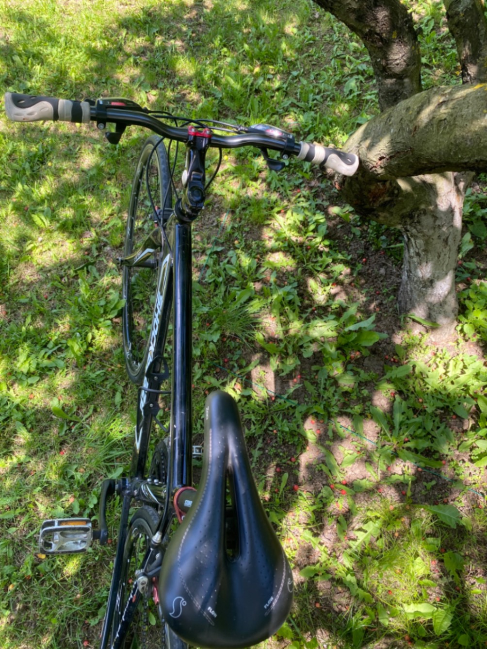 Bike view 8