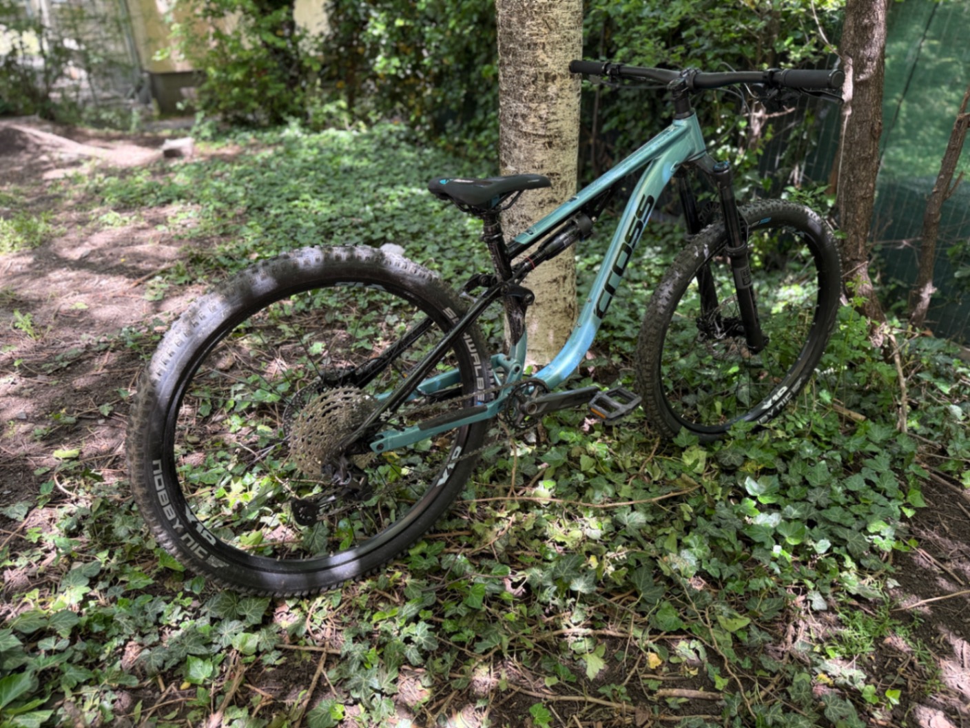 Bike view 2