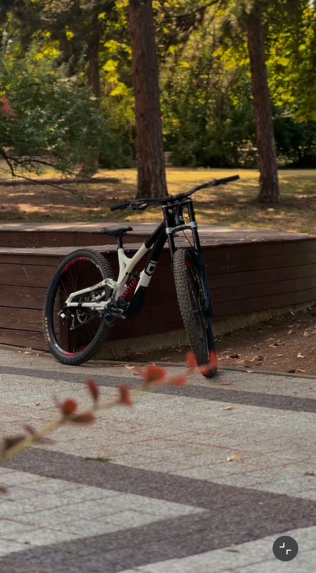 Bike view 2