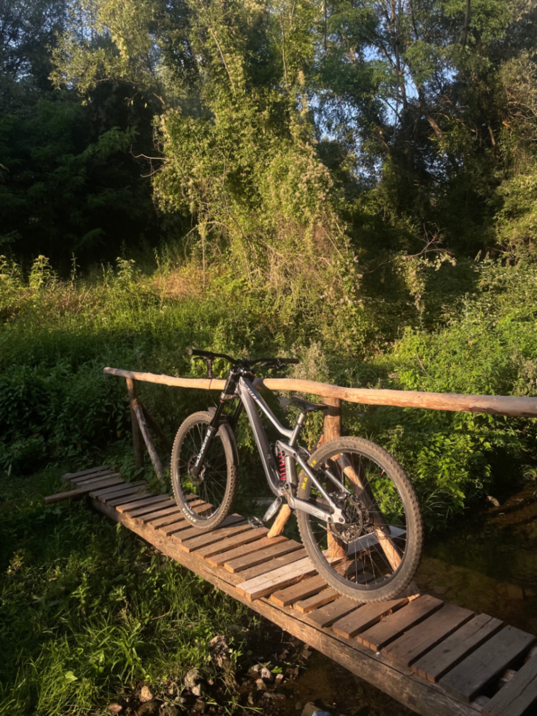 Bike view 6