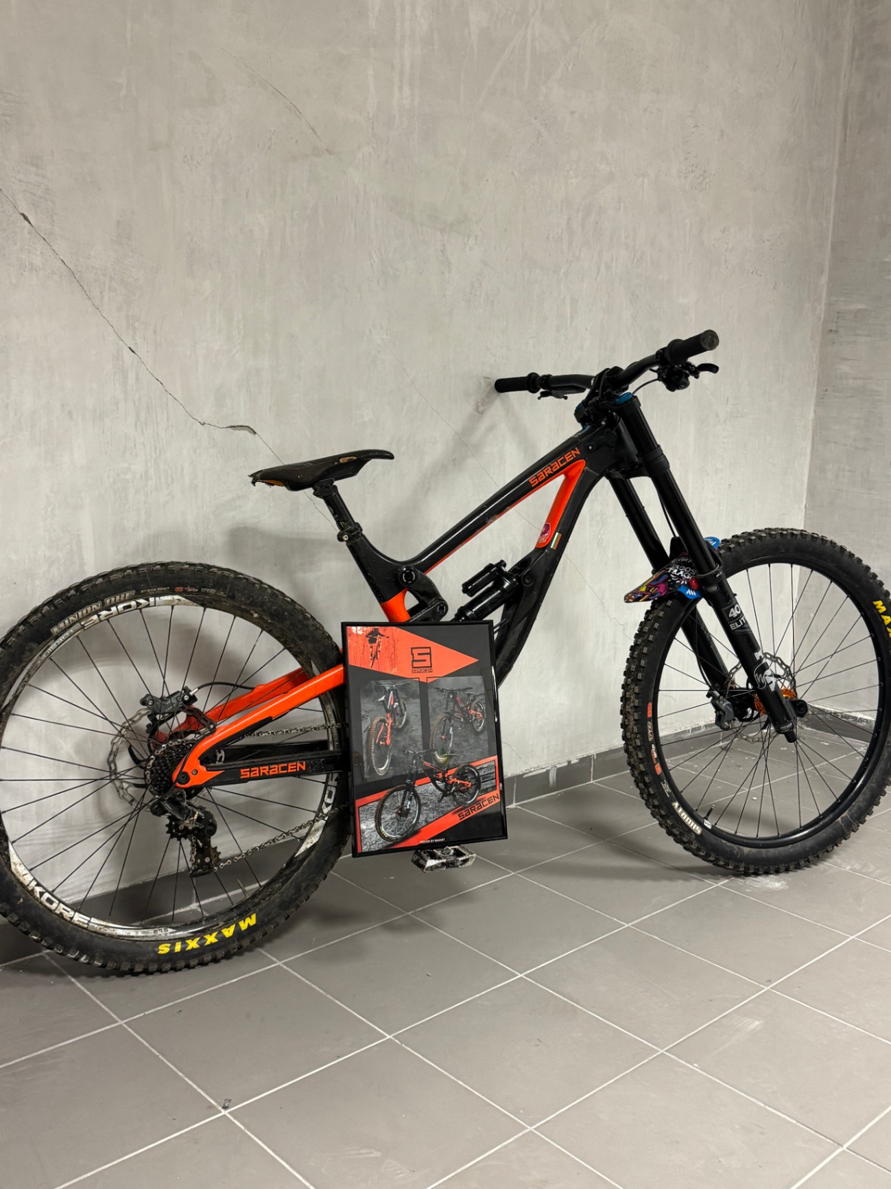 Saracen Myst X view 11