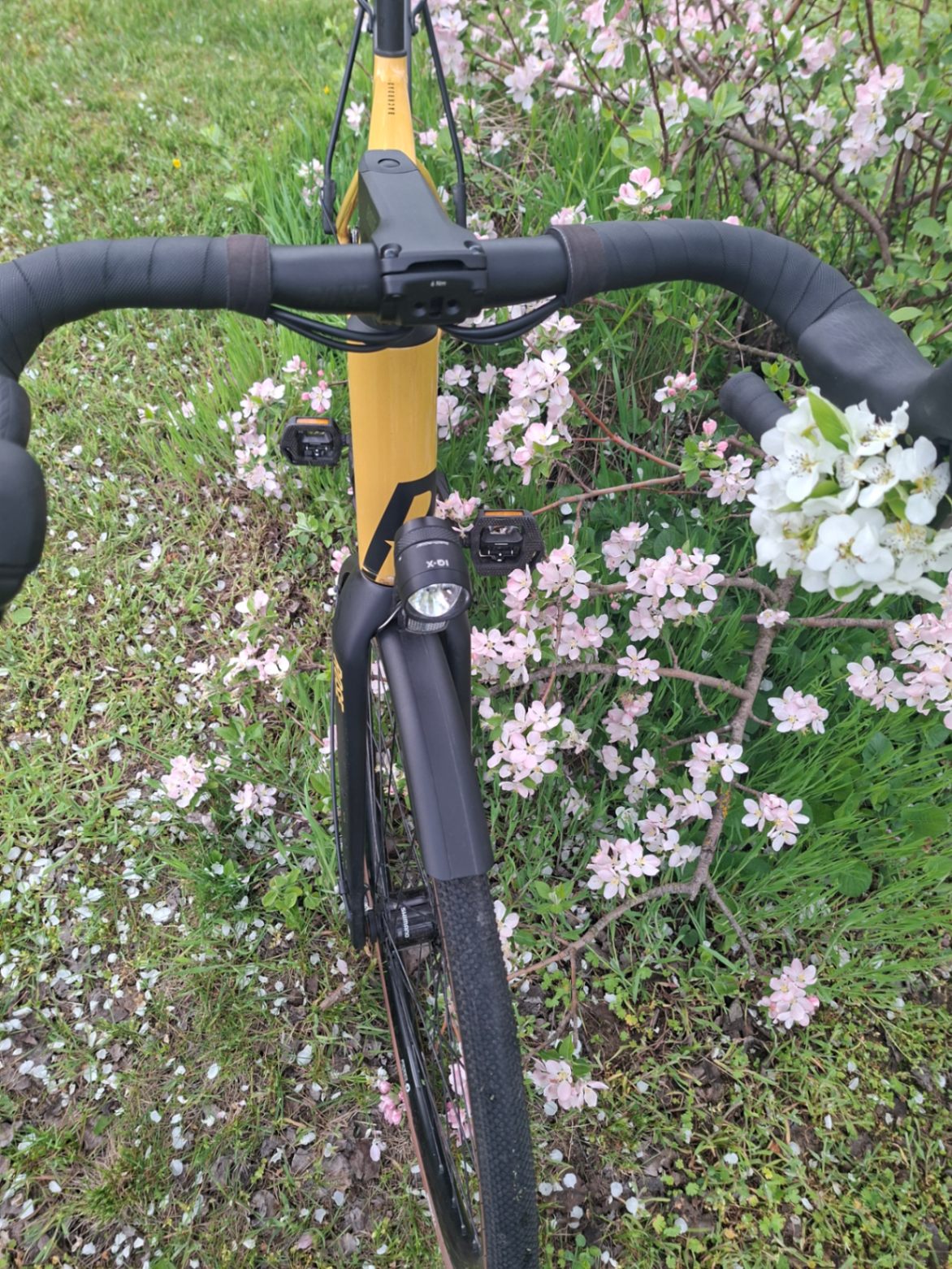 Bike view 9