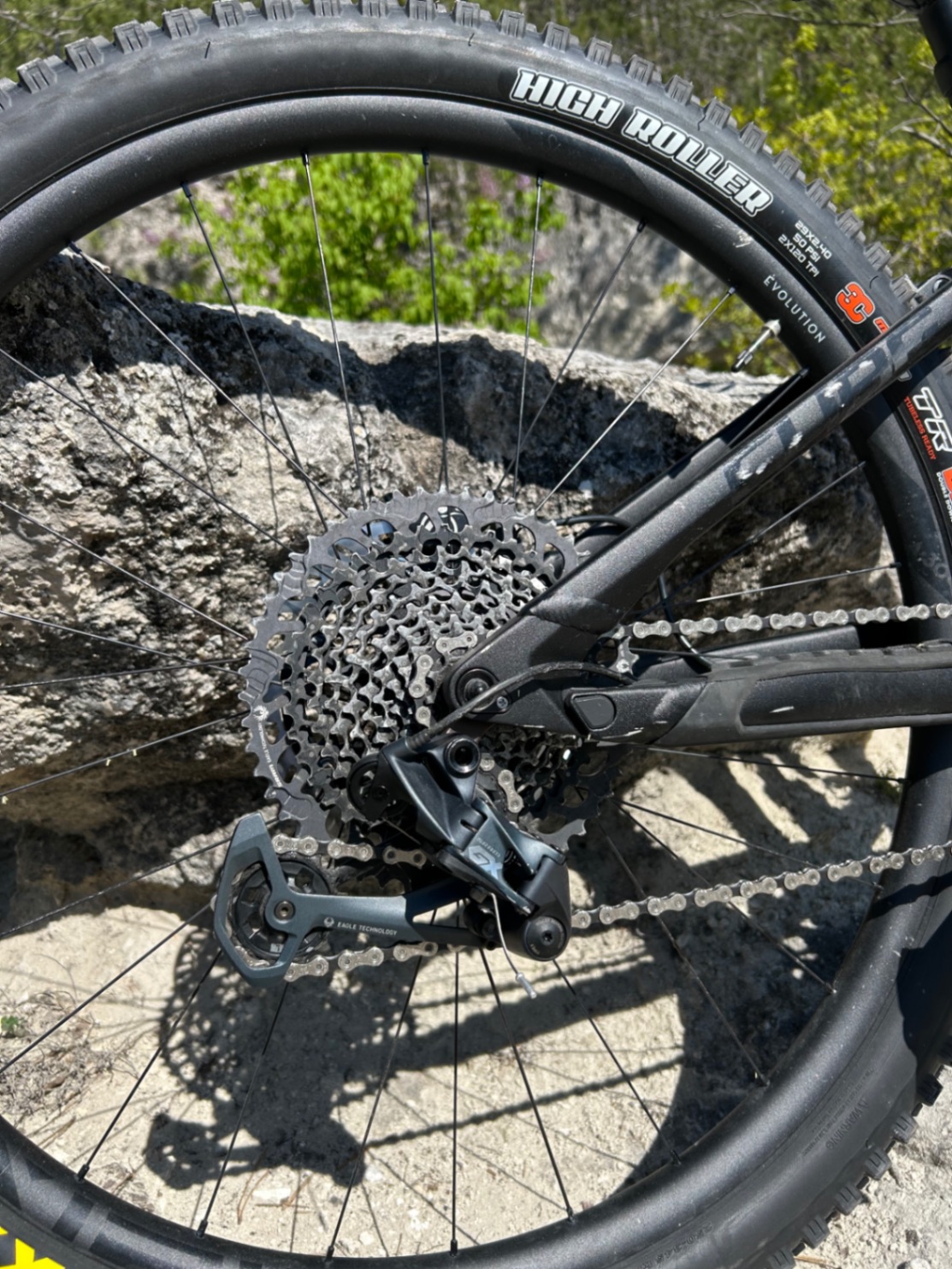 Bike view 5