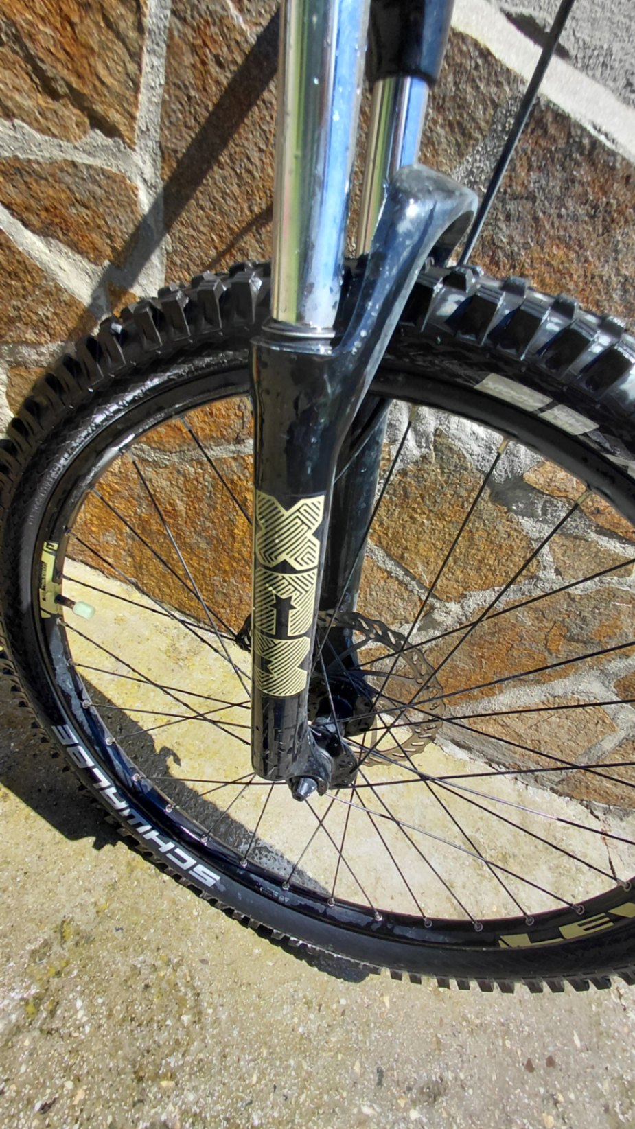 Bike view 6