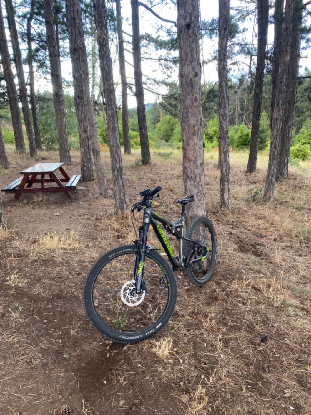 Bike view 6