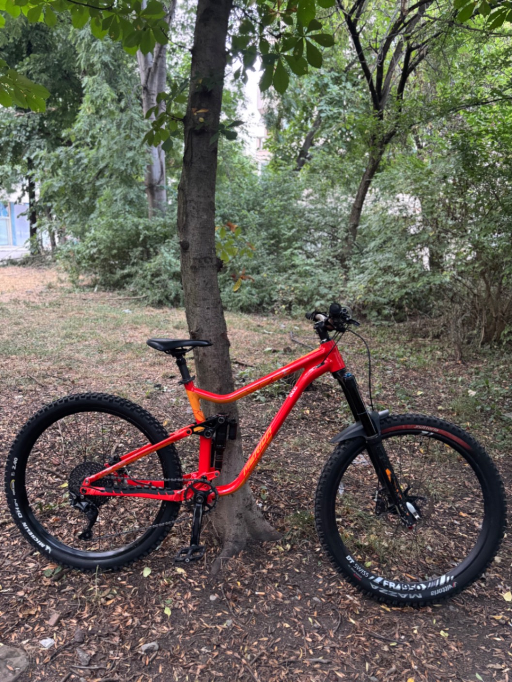 Bike view 9