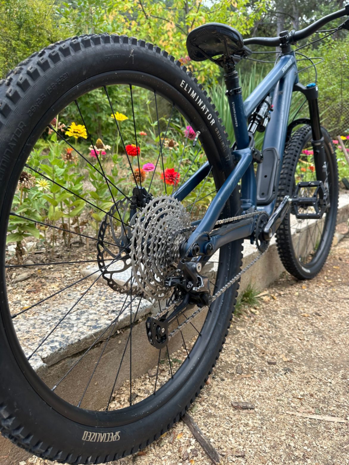 Bike view 6