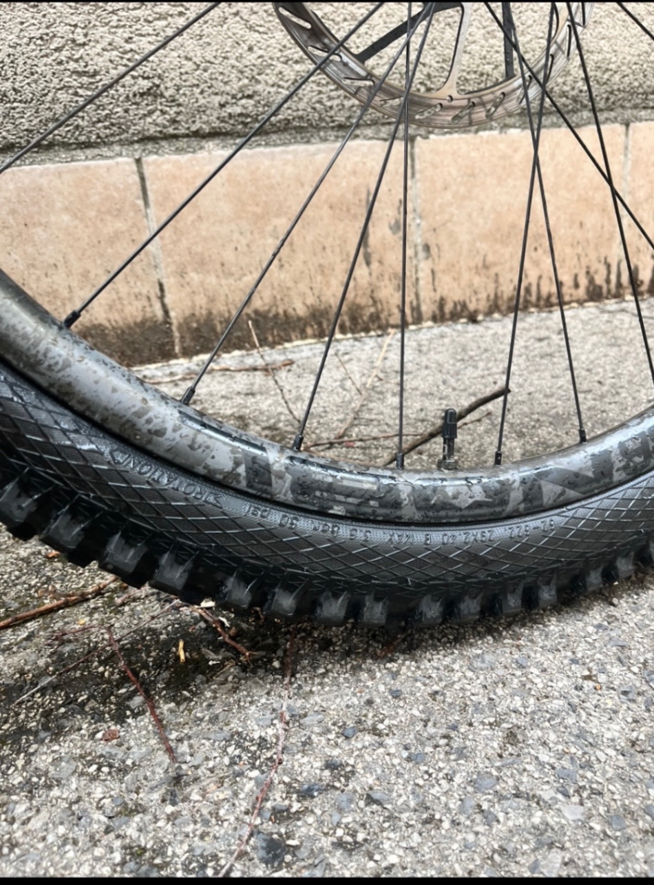 Bike view 8
