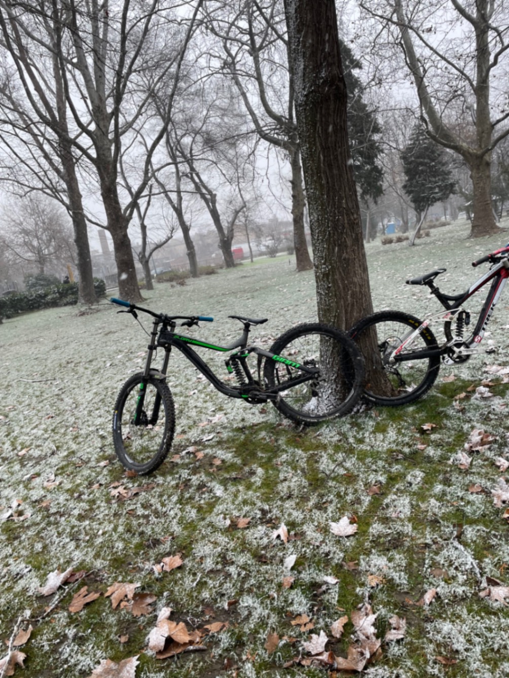 Bike view 9
