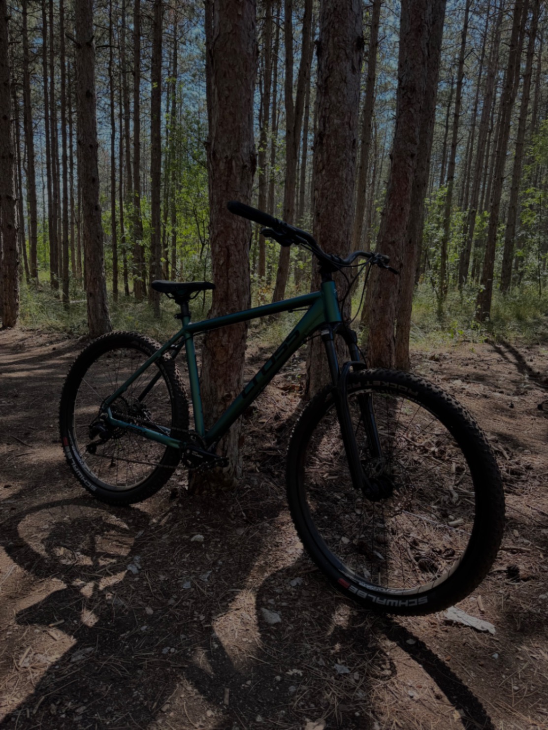 Bike view 3