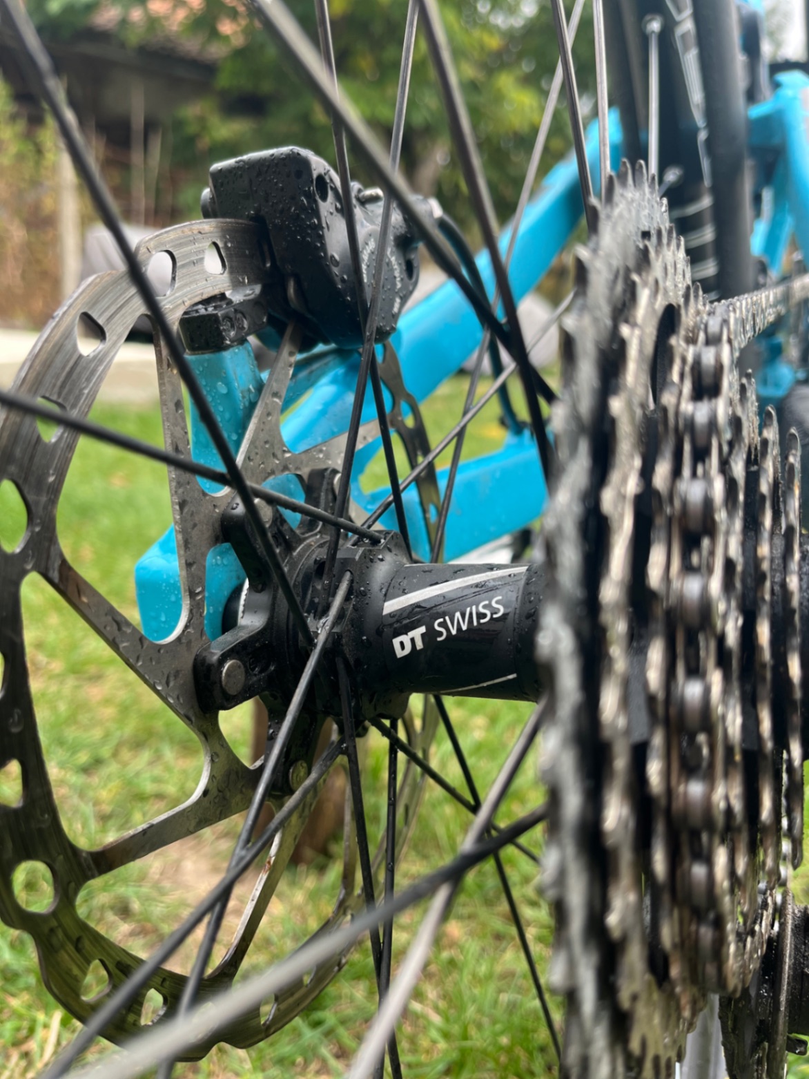 Bike view 5