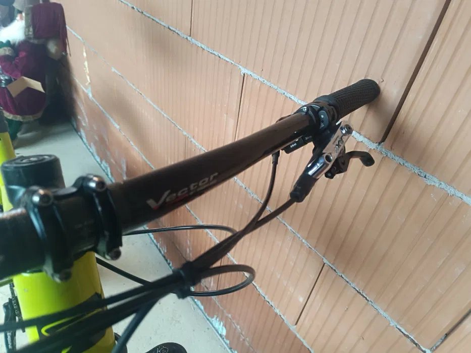 Bike view 11