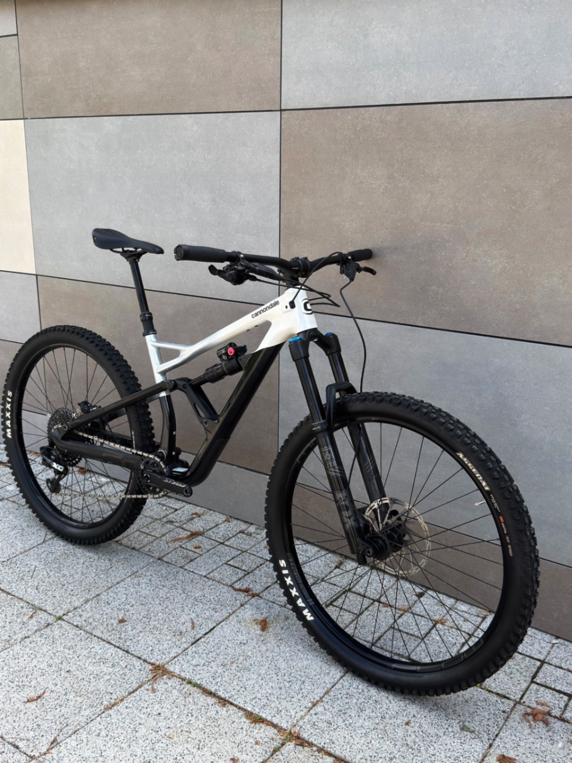 Cannondale Jekyll Carbon 2